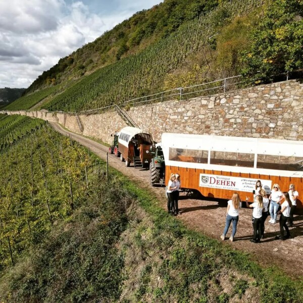 Weingut Dehen © Weingut Dehen Das Weingut Dehen bei einer Planwagenfahrt
© Weingut Dehen