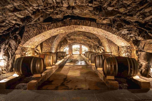 Dagernova.jpg © Weinmanufaktur Dagernova Weinkeller der Weinmanufaktur Dagernova © Weinmanufaktur Dagernova