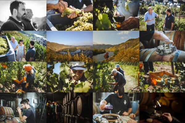 Weinfestival-Weingut Amlinger & Sohn © Weinfestival-Weingut Amlinger & Sohn ©