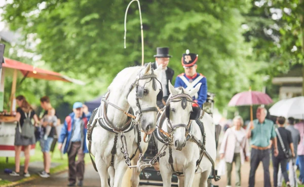 Pferdekutsche beim Augusta-Fest  &copy; Koblenz-Touristik GmbH, Picture Colada 