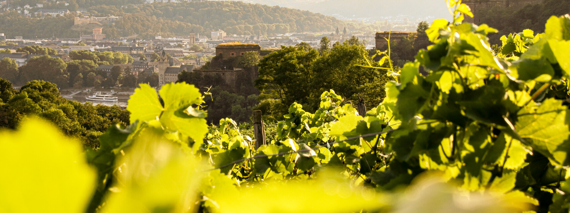 Blick über die Weinberge in Ehrenbreitstein auf die Festung Ehrenbreitstein  ©Koblenz-Touristik GmbH 