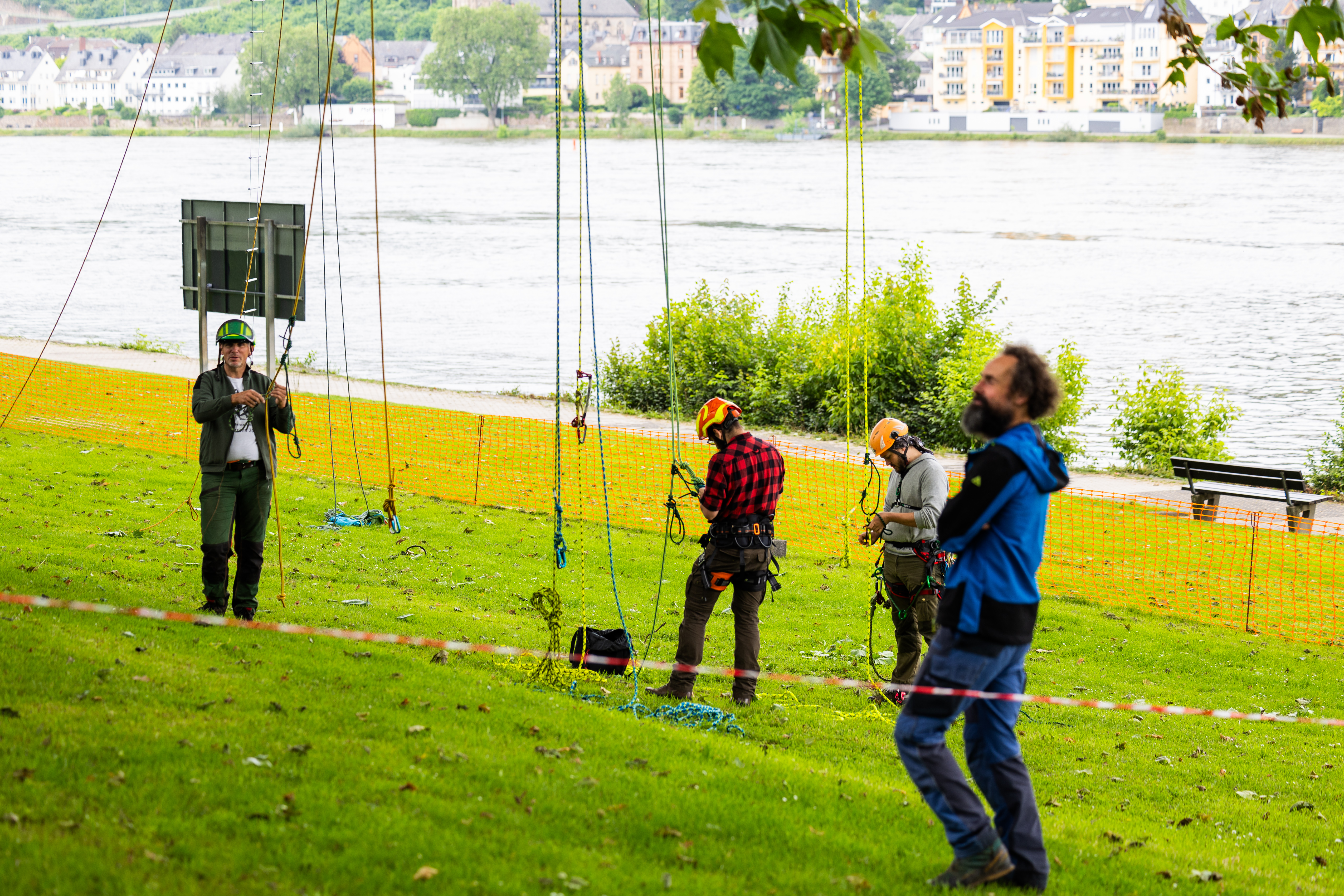 Vier Personen mit Schutzhelmen stehen mit Seilen bereit, die das Hochklettern auf den Baum erm&ouml;glichen. &copy; Koblenz-Touristik, Kai M&uuml;ller 