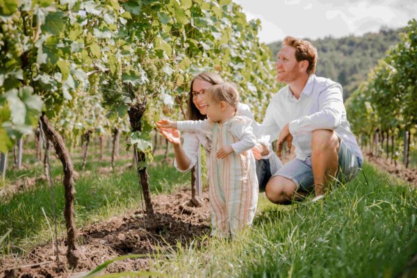 Weingut Fabian Gansen &copy; Weingut Fabian Gansen